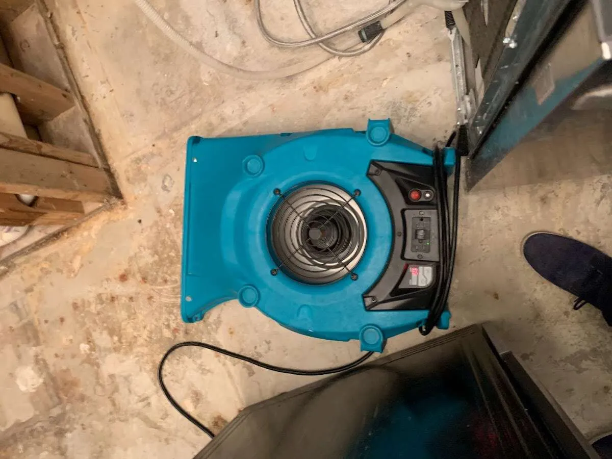 Air mover drying equipment for Mold Remediation & Removal in Dripping Springs