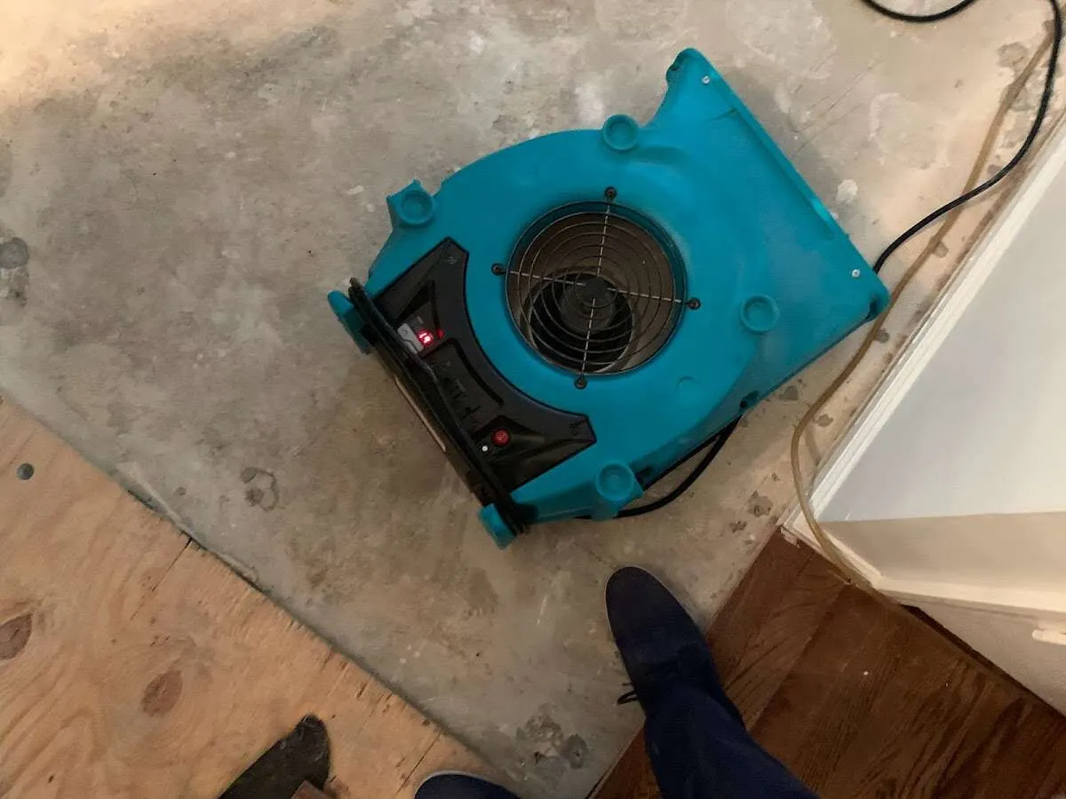 Air mover drying subfloor during Leak Detection & Repair in Dripping Springs